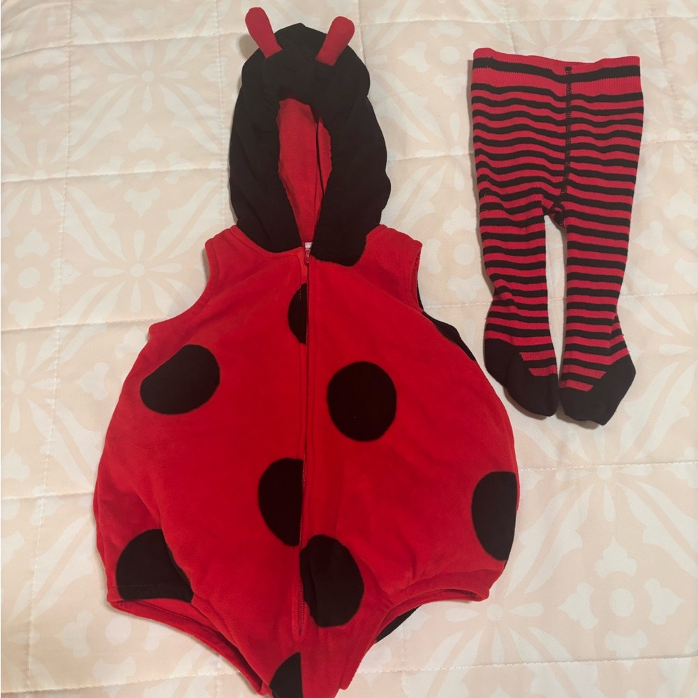 Ladybug Red and Black Kids Two Piece Costume